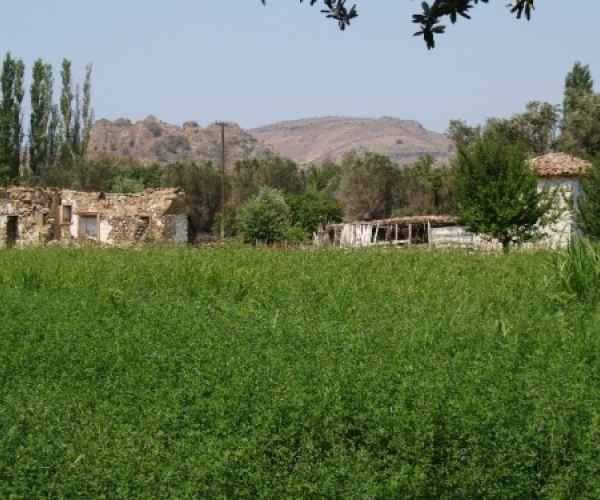 Kampos Eressos, Lesvos Island 81105, ,Land Plot,For Sale,1073