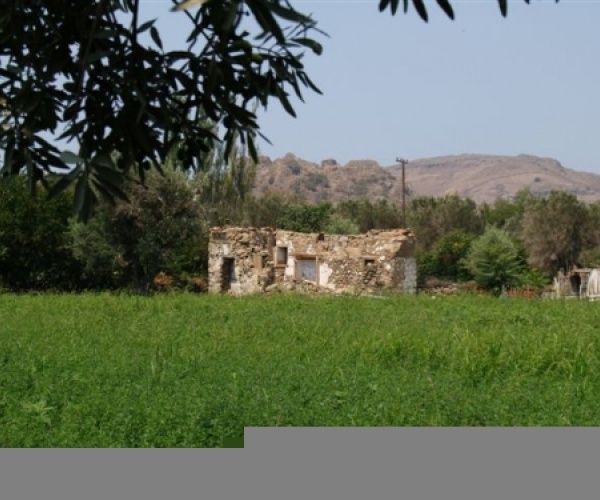 Kampos Eressos, Lesvos Island 81105, ,Land Plot,For Sale,1073