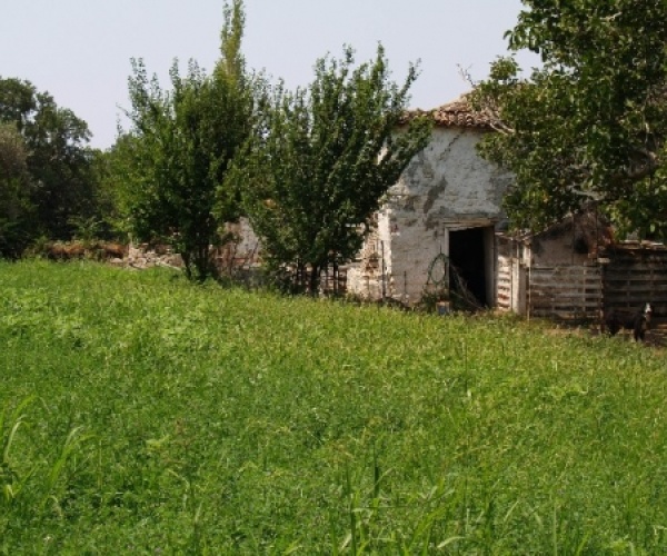 Kampos Eressos, Lesvos Island 81105, ,Land Plot,For Sale,1073