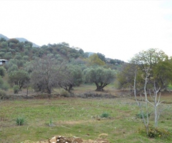 Kampos Eressos, Lesvos Island 81105, ,House and Land,For Sale,1007