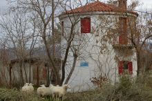 Skala Eressos, Lesvos Island 81105, 1 Bedroom Bedrooms, ,1 BathroomBathrooms,House,Vacation Rental,1076