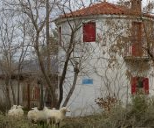 Skala Eressos, Lesvos Island 81105, 1 Bedroom Bedrooms, ,1 BathroomBathrooms,House,Vacation Rental,1076