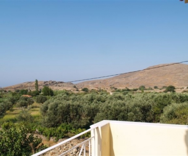 Skala Eressos, Lesvos Island 81105, 3 Bedrooms Bedrooms, ,2 BathroomsBathrooms,House and Land,For Sale,1078
