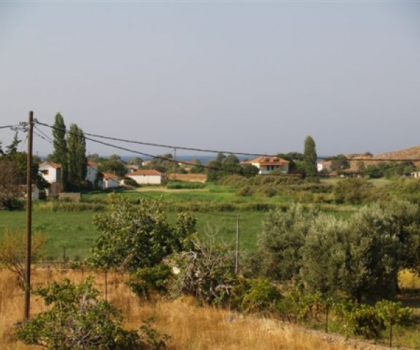 Skala Eressos, Lesvos Island 81105, 3 Bedrooms Bedrooms, ,2 BathroomsBathrooms,House and Land,For Sale,1078