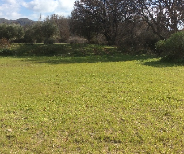 Eressos, Lesvos Island 81105, ,Land Plot,For Sale,1081