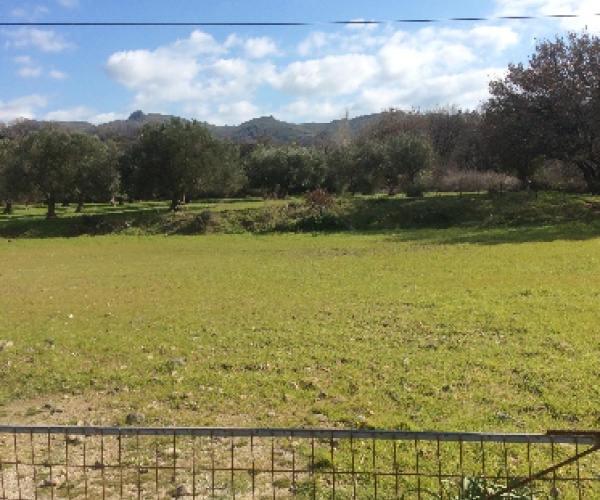 Eressos, Lesvos Island 81105, ,Land Plot,For Sale,1081