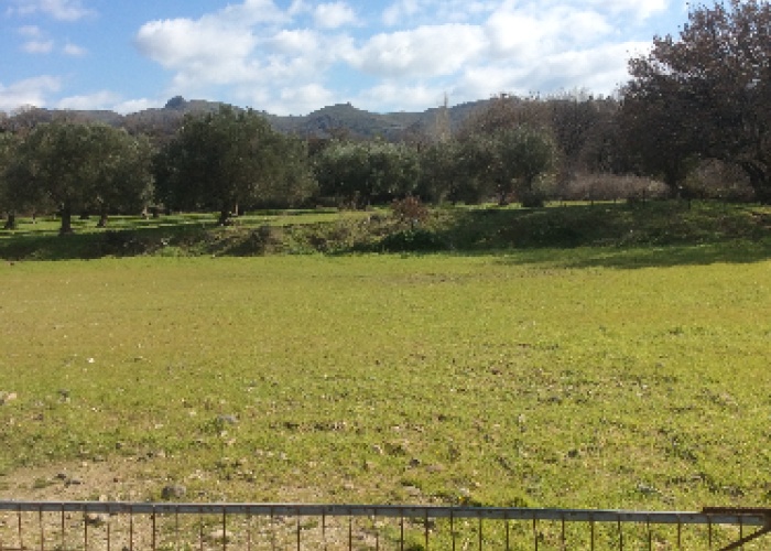 Eressos, Lesvos Island 81105, ,Land Plot,For Sale,1081