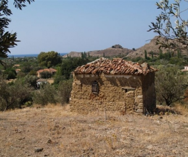 Kampos Eressos, Lesvos Island 81105, ,House and Land,For Sale,1082