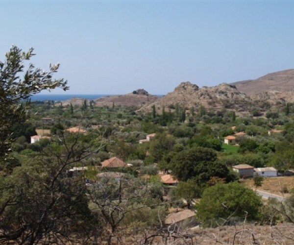 Kampos Eressos, Lesvos Island 81105, ,House and Land,For Sale,1082