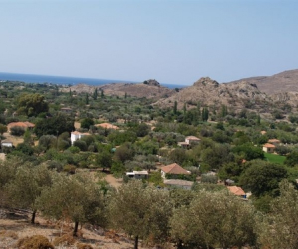 Kampos Eressos, Lesvos Island 81105, ,House and Land,For Sale,1082