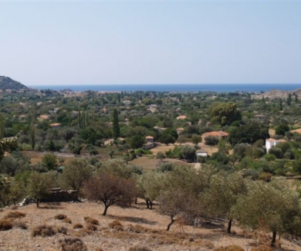 Kampos Eressos, Lesvos Island 81105, ,House and Land,For Sale,1082