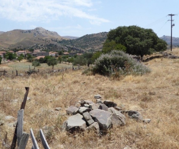 Eressos, Lesvos Island 81105, ,Land Plot,For Sale,1083