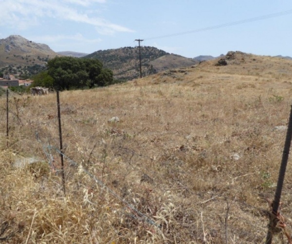 Eressos, Lesvos Island 81105, ,Land Plot,For Sale,1083