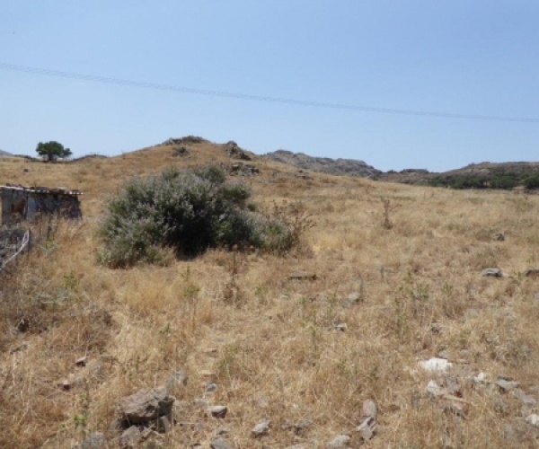 Eressos, Lesvos Island 81105, ,Land Plot,For Sale,1083