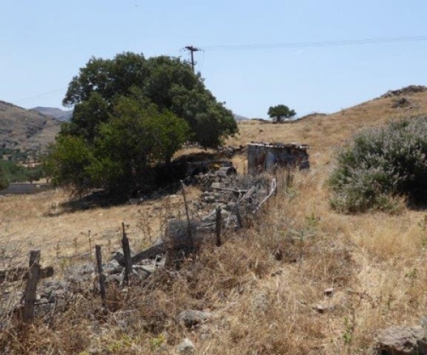 Eressos, Lesvos Island 81105, ,Land Plot,For Sale,1083