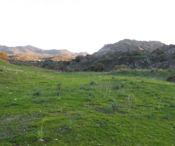 Eressos, Lesvos Island 81105, ,Land Plot,For Sale,1083