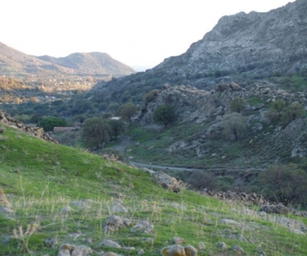 Eressos, Lesvos Island 81105, ,Land Plot,For Sale,1083