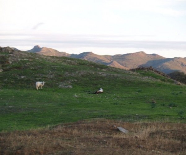 Eressos, Lesvos Island 81105, ,Land Plot,For Sale,1083