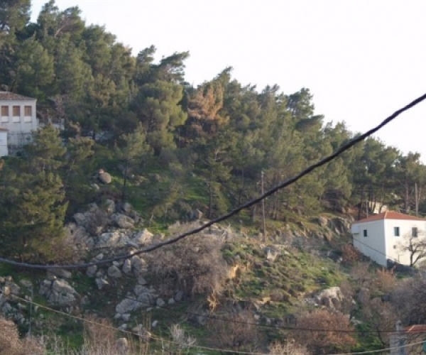 Skala Eressos, Lesvos Island 81105, ,Land Plot,For Sale,1084